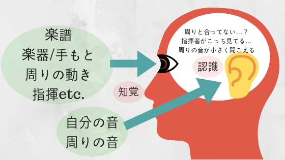 目や耳から脳へ情報が伝わる