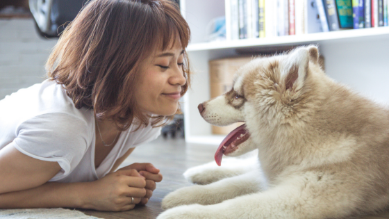 怖くないよ、人間と中型犬