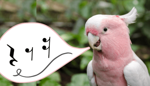ノリが悪い、テンポが良くない原因は「休符」にあった!?～休符も歌おう！