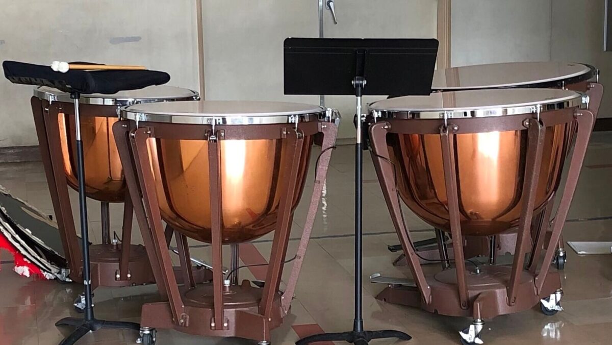 ジャンベ 楽器 太鼓 民族楽器 マラカス付き ハンドドラム 