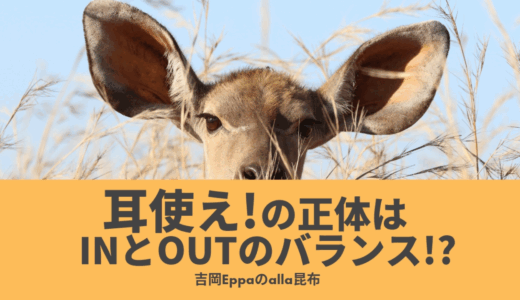 「耳を使う！」「よく聴いて！」の正体はインプットとアウトプットのバランス