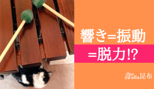 知っておきたい楽器の響きと脱力と振動の関係