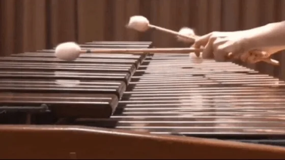 マリンバの4本マレット